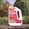 Bonide Products Bonide Insect Killer Dust 1.3 lb 120 - alternate 3